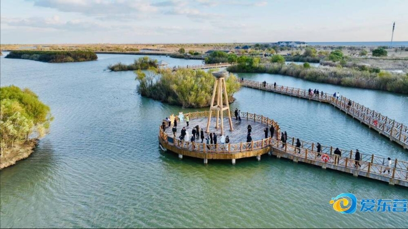 海海港队来 海海港队来